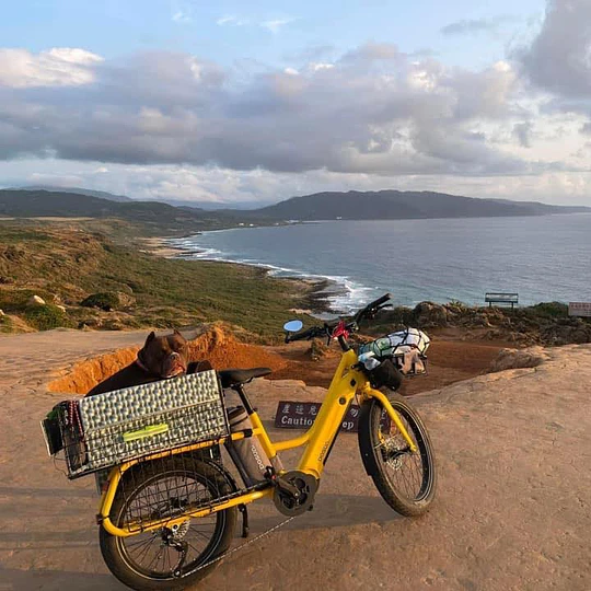 E-Bike Dosun CG135 - Imagen 2