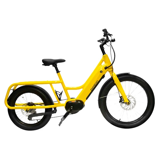 E-Bike Dosun CG135